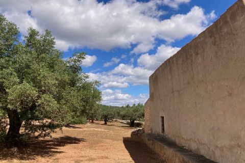 Landejendom i El Perello, Tarragona, El Perello - € 83.000 | Ref: Finca Gran Inti - foto 27